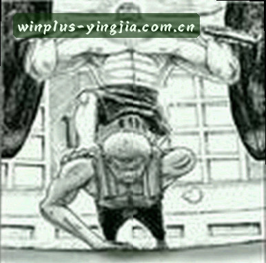 刘洋