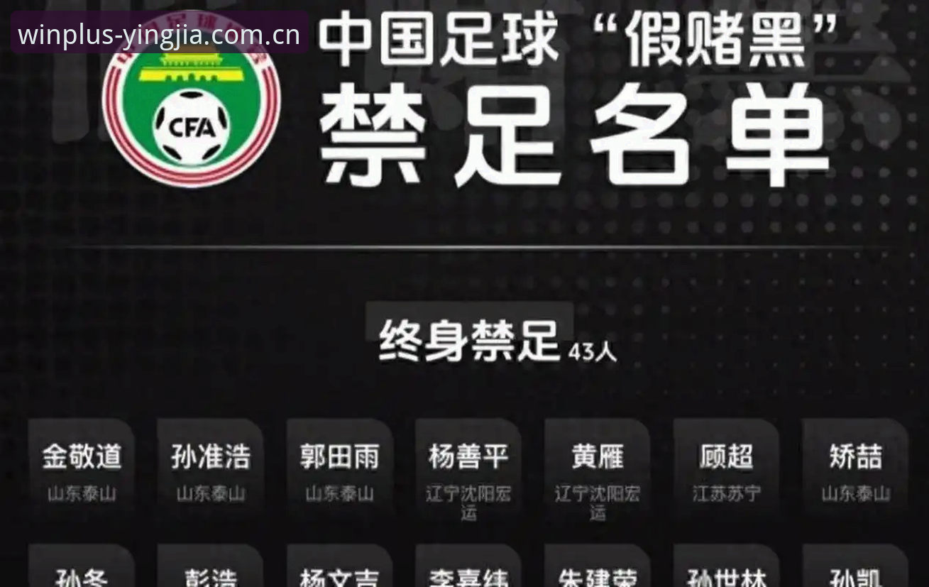 盈嘉体育ios最新版 中国足球反腐风暴深度评测:第三批禁足名单背后的行业生态重构